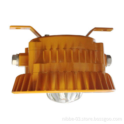 IEC EX explosion-proof LED bulb lamp